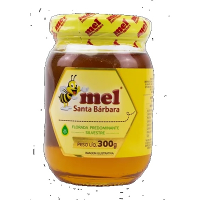 Mel Santa Barbara Vidro 300g